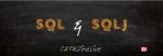 SQL and SQLJ